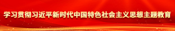 X55m：CC学习贯彻习近平新时代中国特色社会主义思想主题教育