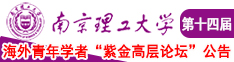 亚洲老骚逼操大鸡巴爽爽的南京理工大学第十四届海外青年学者紫金论坛诚邀海内外英才！